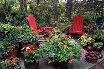 Get Creative with Container Gardening - Alexandria Living Magazine