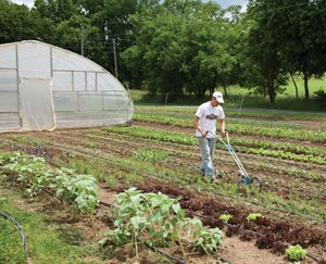 Grove and his two-and-a-half acre micro-farm in Lovettsville.