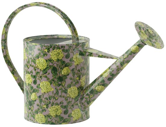 Anthropologie's Climbing Roses Watering Can