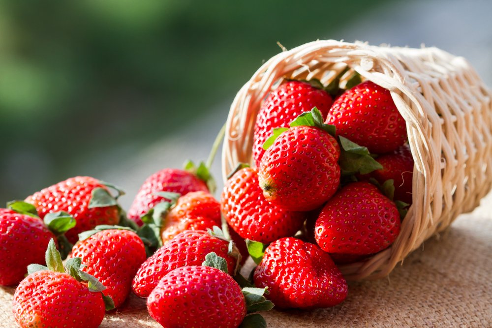 5 of the "Berry" Best Places for Strawberry picking in Northern Virginia.