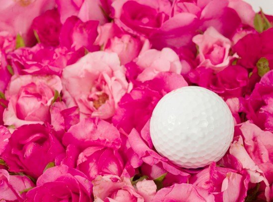 Golf ball in roses