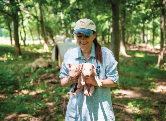 Ayshire Farm owner Sandy Lerner