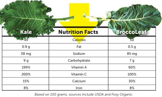 Kale vs. Broccoleaf