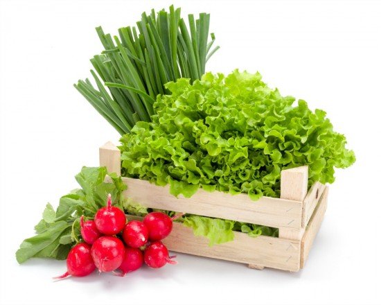 spring, vegetables, plants, merrifield, merrifield garden center, nova mag, nova magazine, northern virginia mag, nothern virginia magazine
