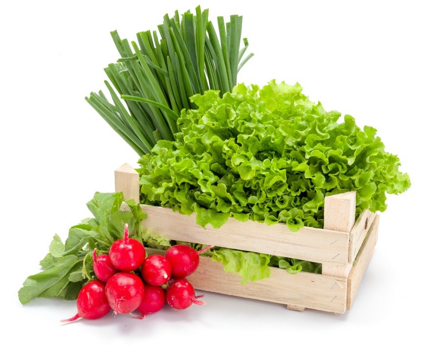 spring, vegetables, plants, merrifield, merrifield garden center, nova mag, nova magazine, northern virginia mag, nothern virginia magazine
