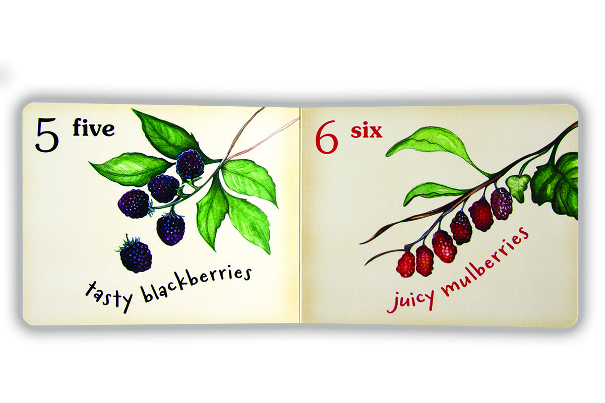 very berry counting book