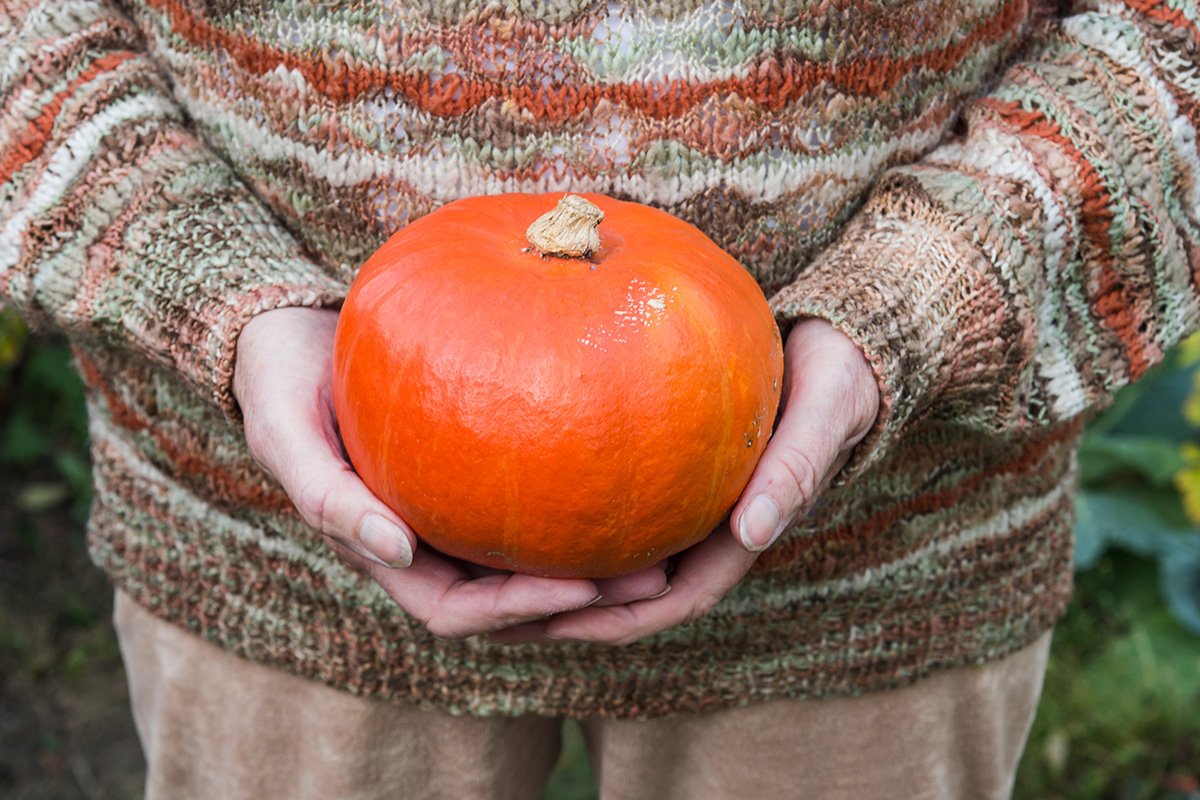 senior holding pumpkin