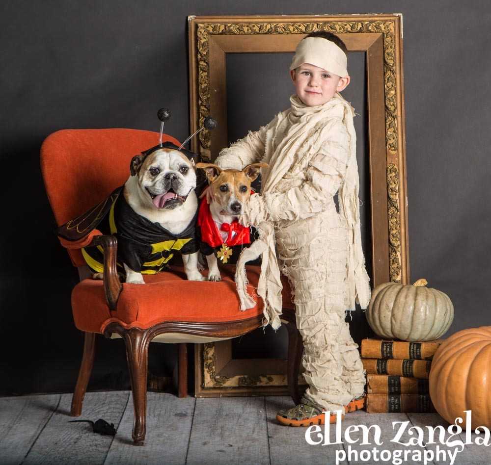 halloween dogs and owner