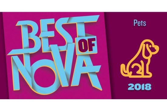 Best of NoVA 2018 Pets