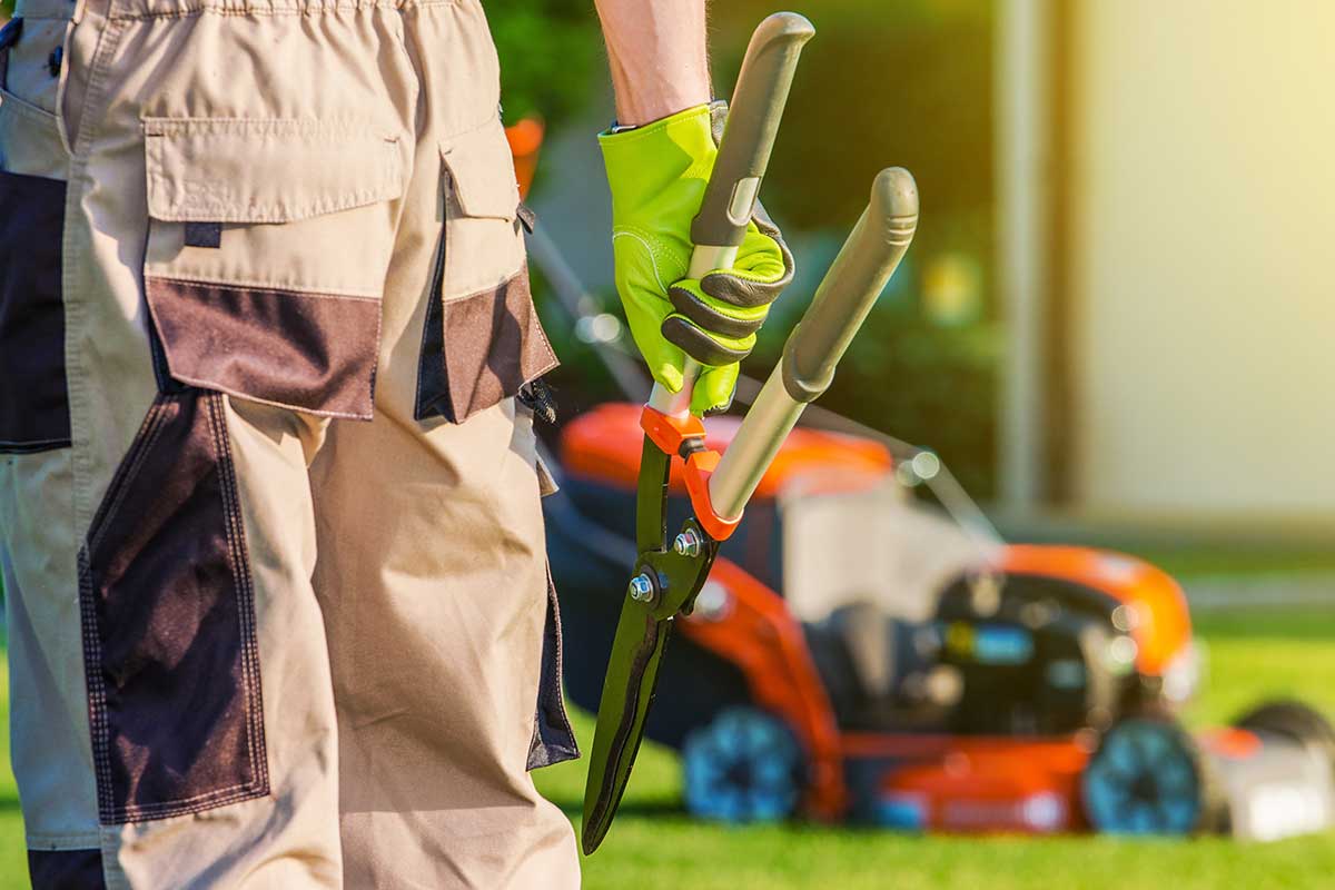 man holding landscaping tool with lawn mower in background
