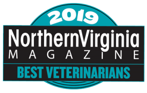 2019 Best Veterinarian official badge teal