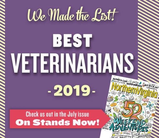 2019 best veterinarians promo image
