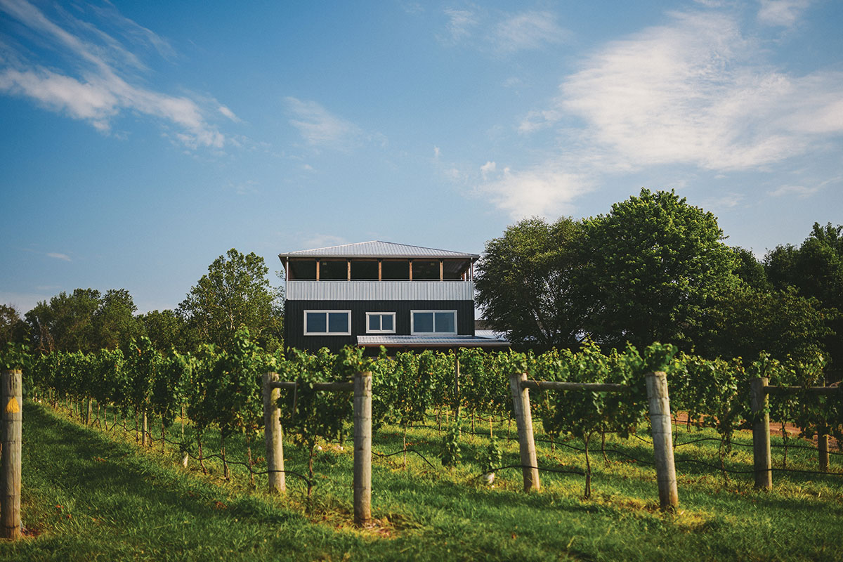vineyard and winery