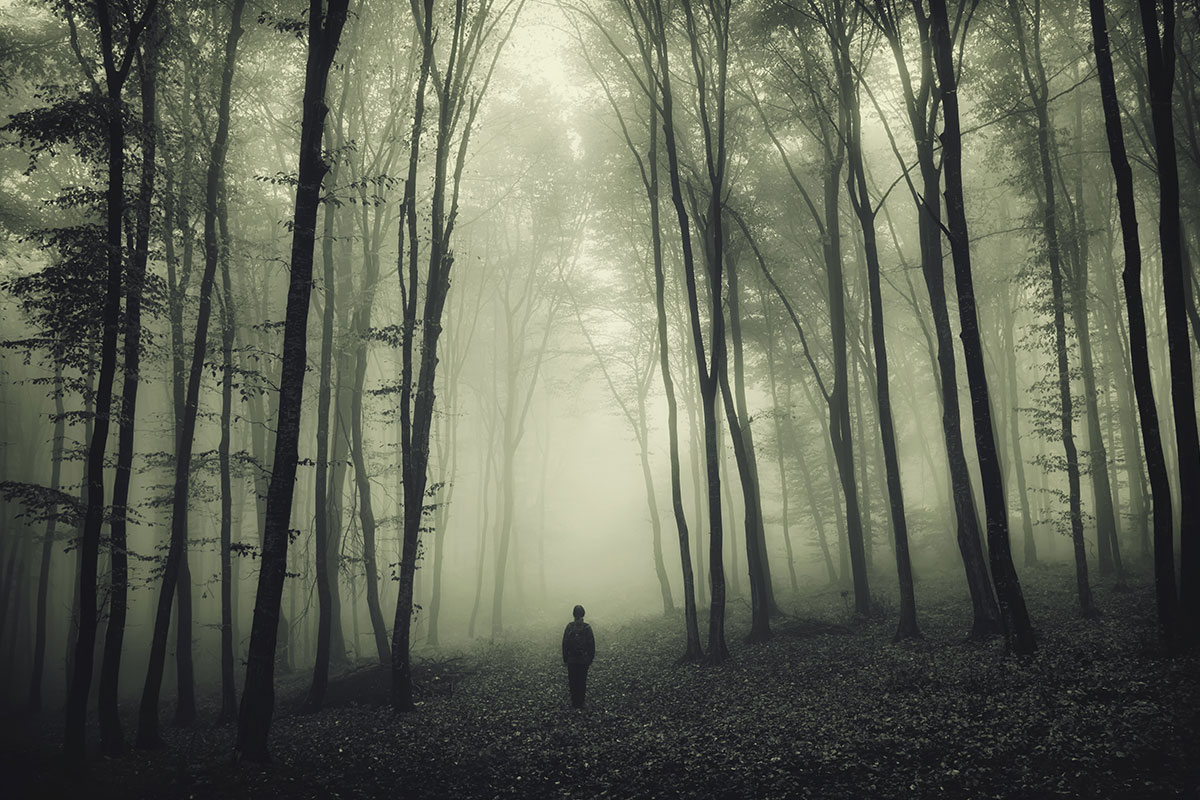 foggy forest with man in it