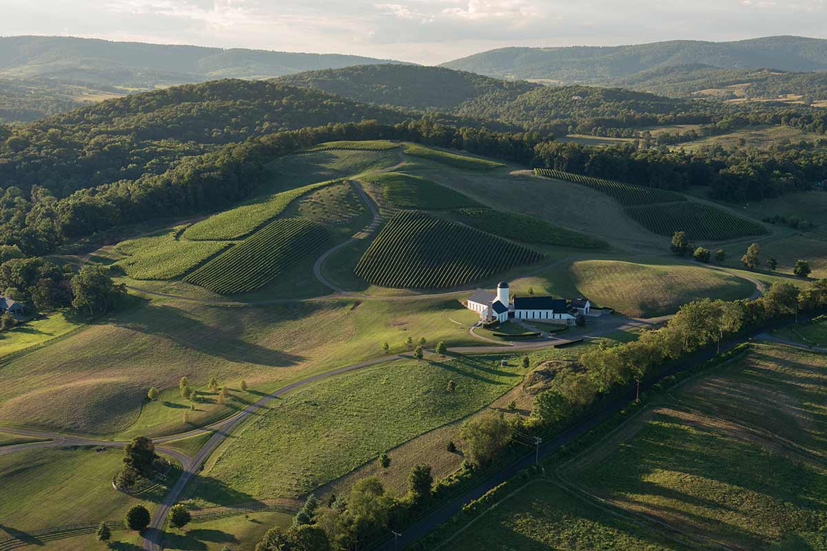 aerial shot of RdV Vineyards with green hills