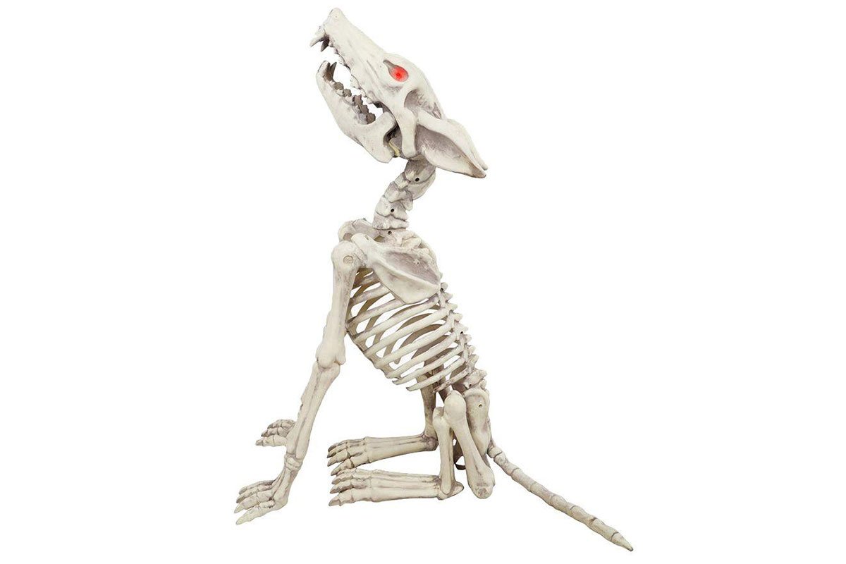 skeleton of howling wolf