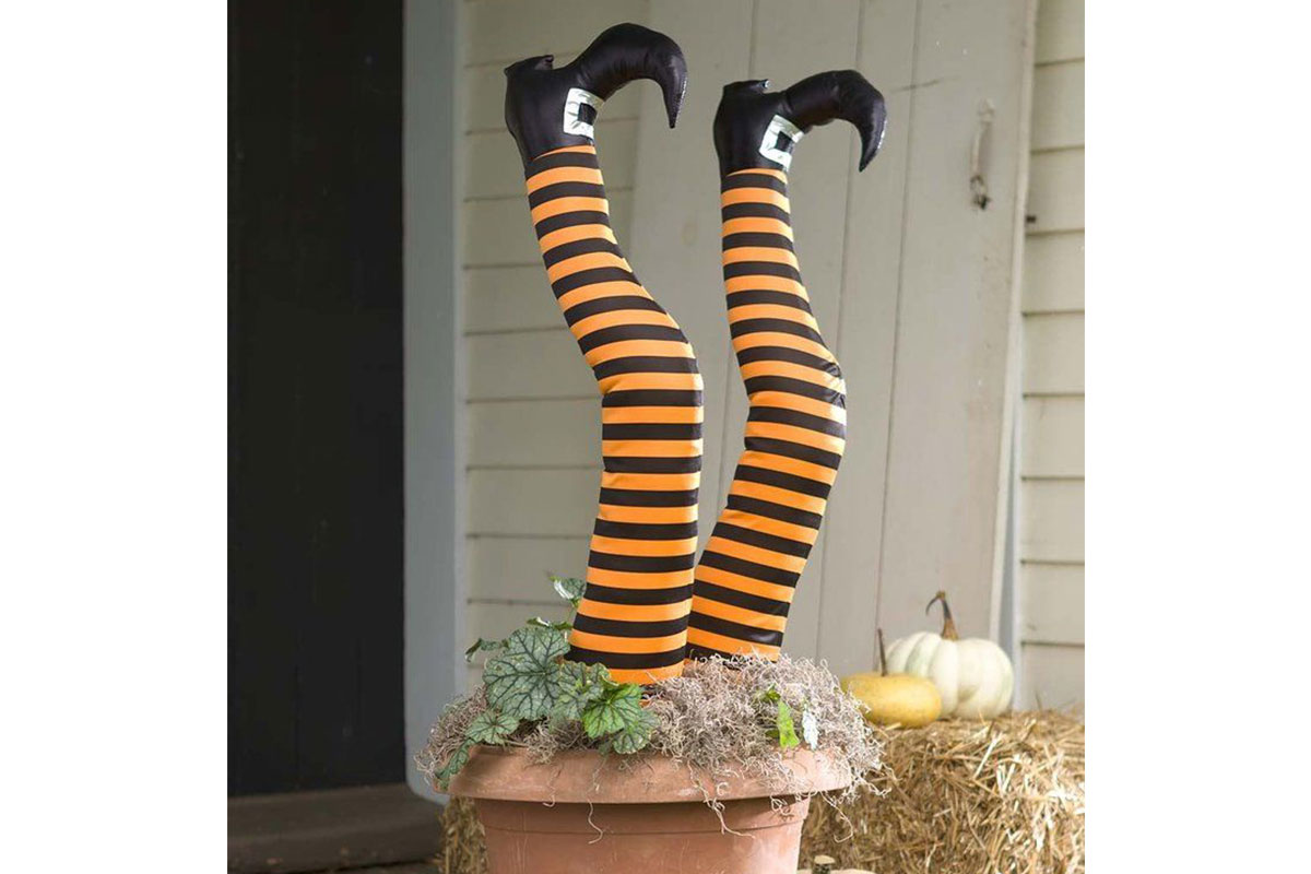 orange and black striped witch legs in pot