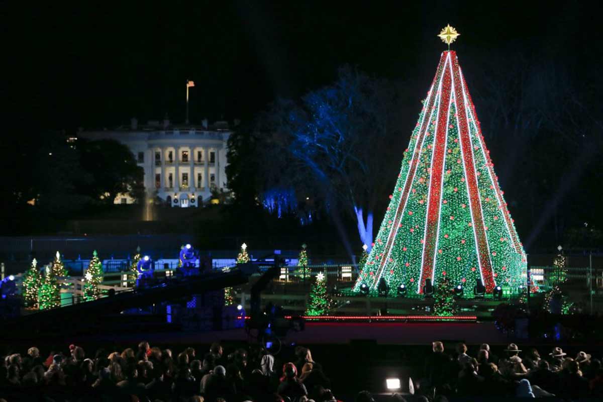 national christmas tree in front of white house