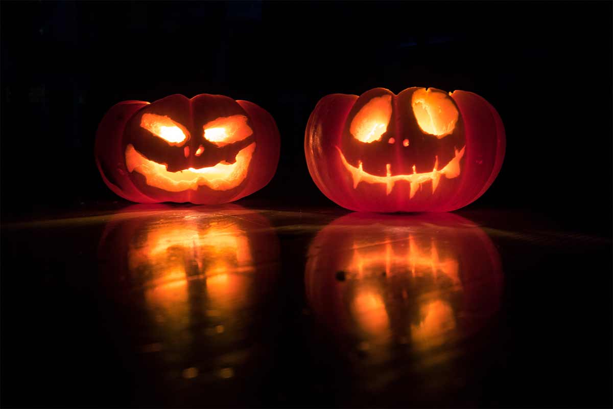carved halloween pumpkins