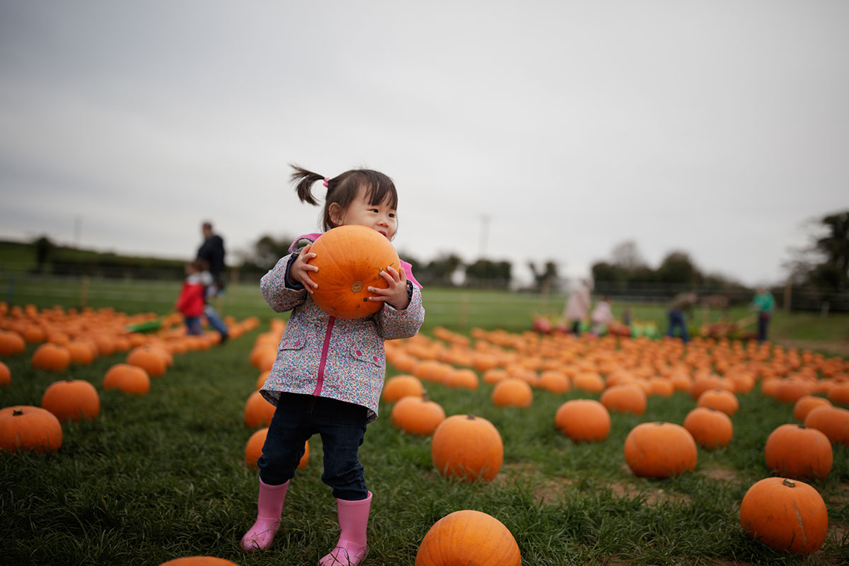 little girl in pumpkin patch