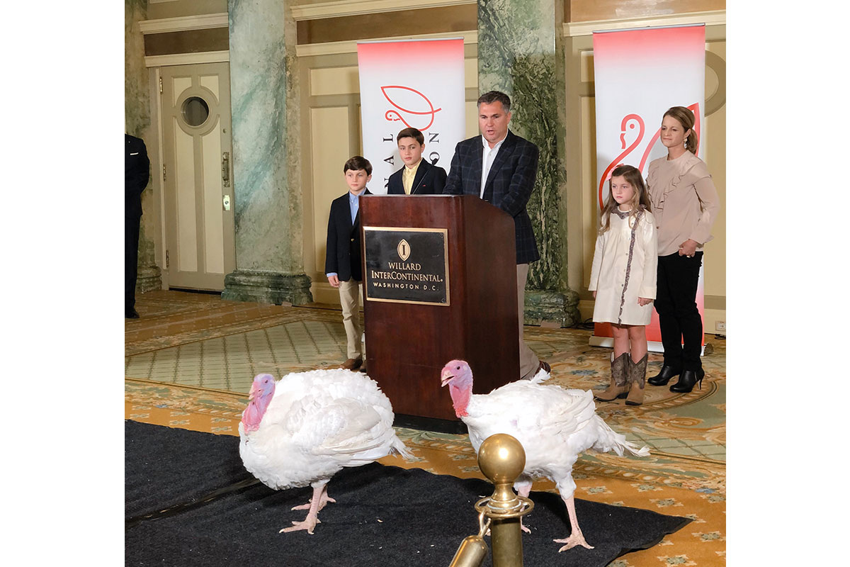 two turkeys in front of mic stand with family