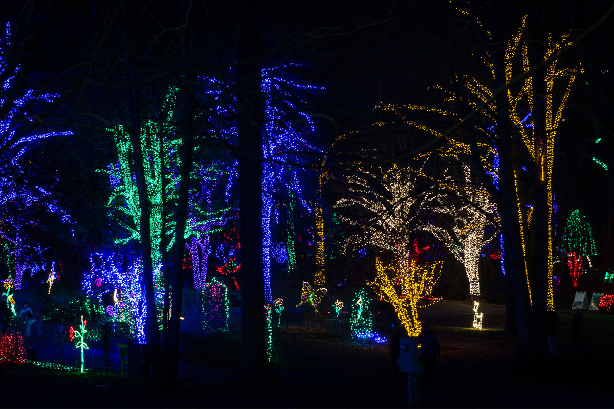 Meadowlark Botanical Gardens christmas lights