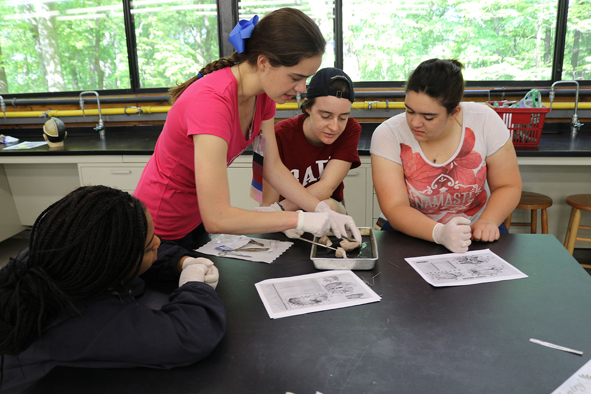 students dissecting something in science