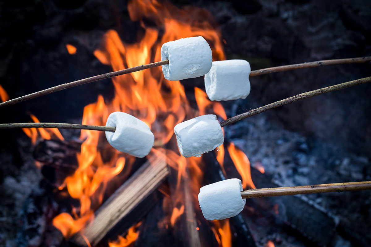 5 marshmallows in front of campfire