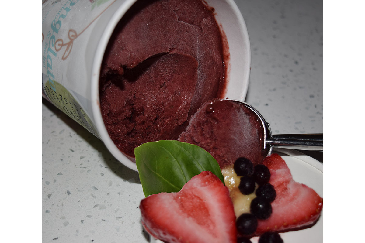 Berry delicious sorbet on side with fruit