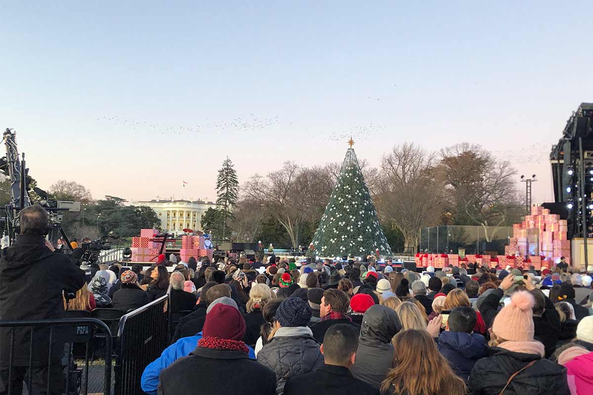 national christmas tree 2019 before it is lit