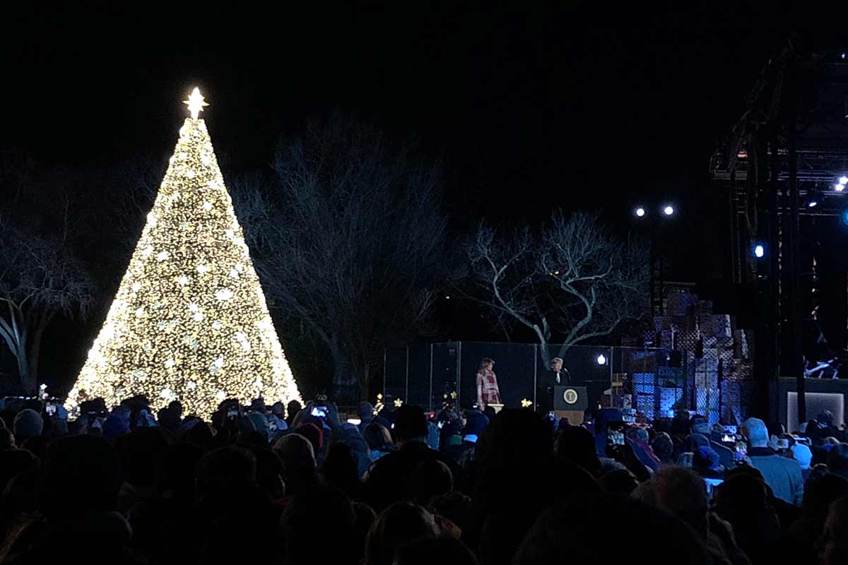 national christmas tree 2019 lit up by president turmp and melania
