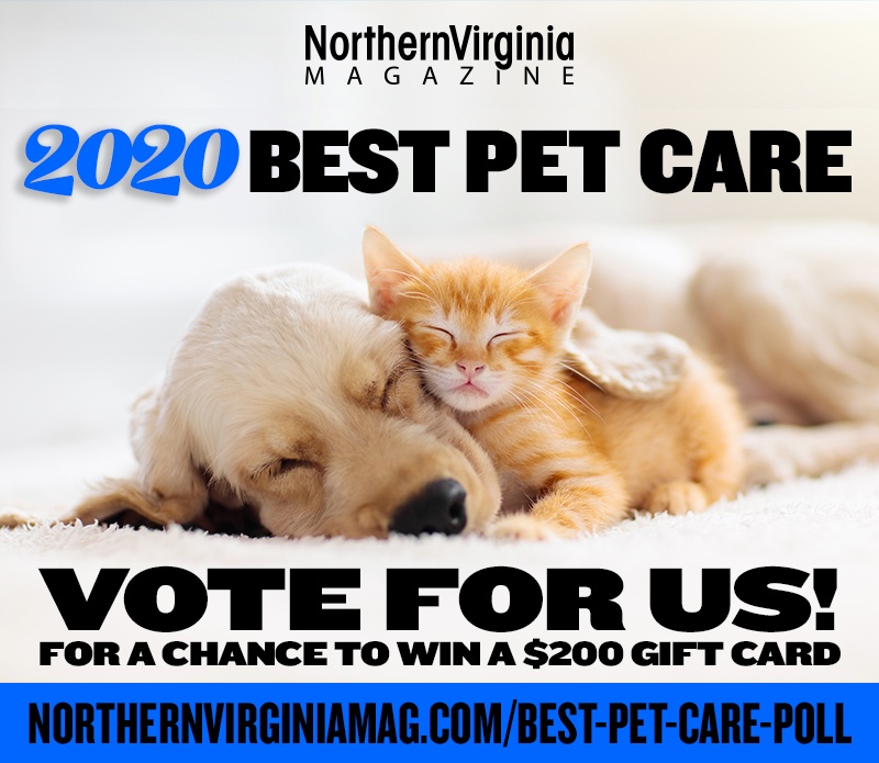 Best Pet Care 2020 readers poll Online Media Toolkit