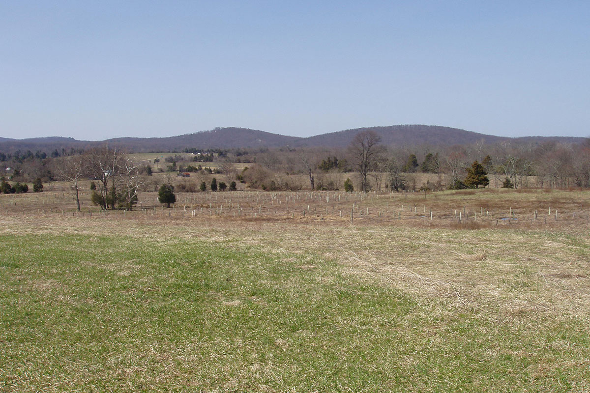 field in northern virginia with mountains in background