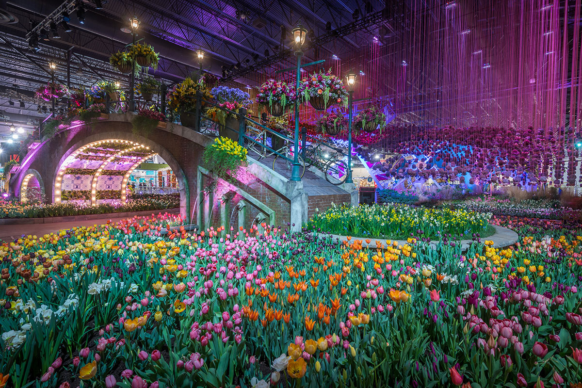 You Have One More Week To Visit The Philadelphia Flower Show