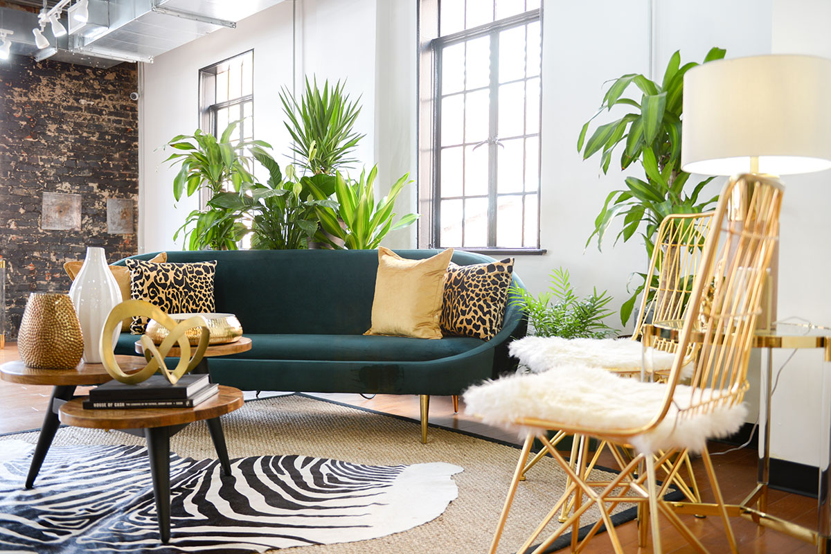 green couch with zebra carpet