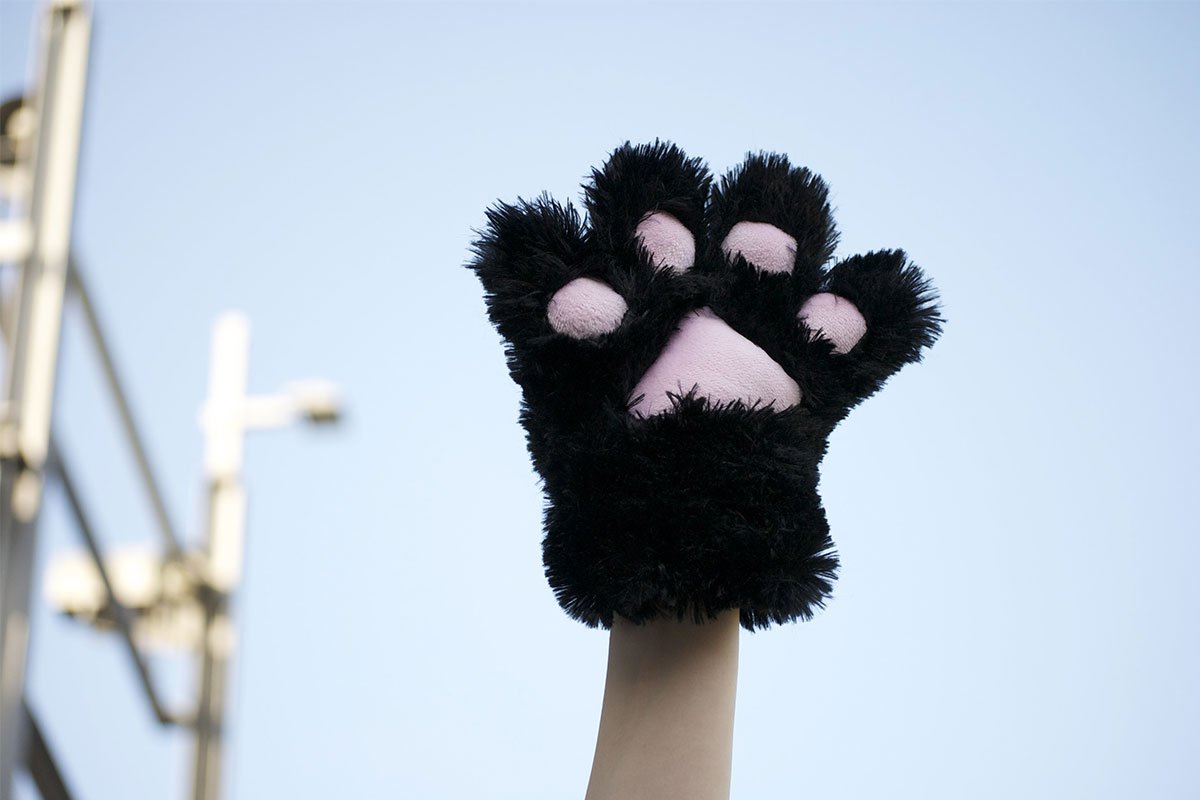 fluffy cat paw raised into the air in front of blue sky