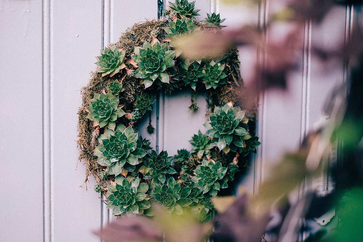 wreath made of succulents