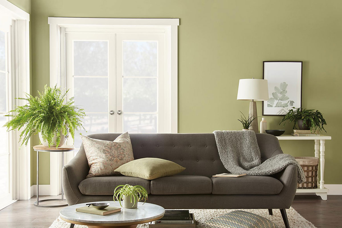 green wall with couch in front