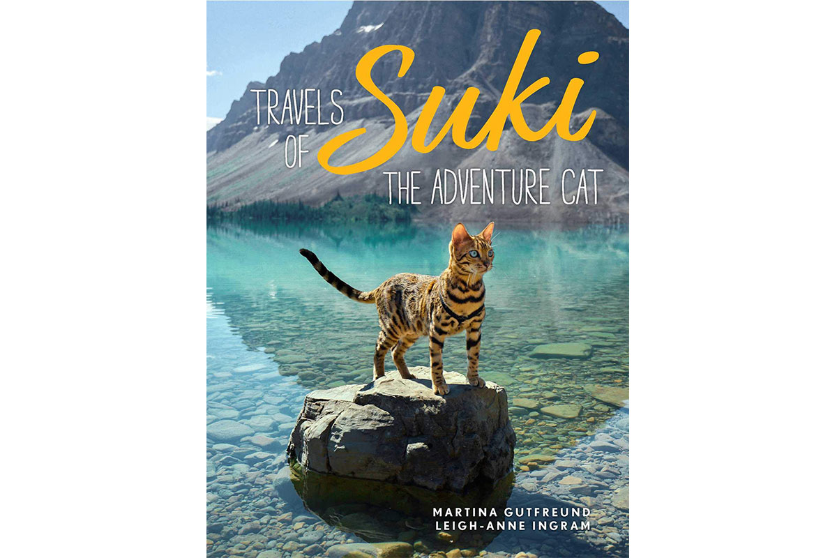 book cover with cat suki standing on rock in green and blue waters with mountain