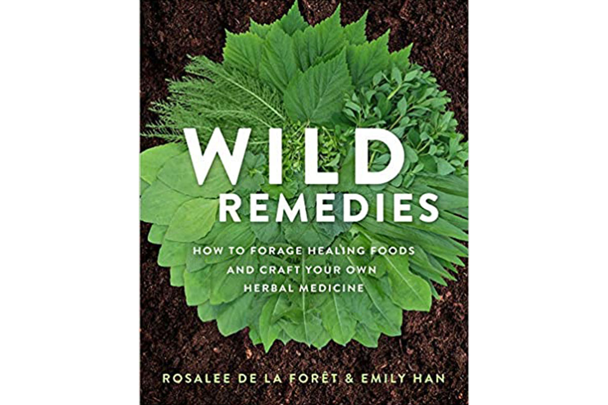 wild remedies book cover with green plant leaves and dirt