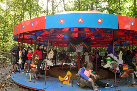 red and blue carousal burke lake park
