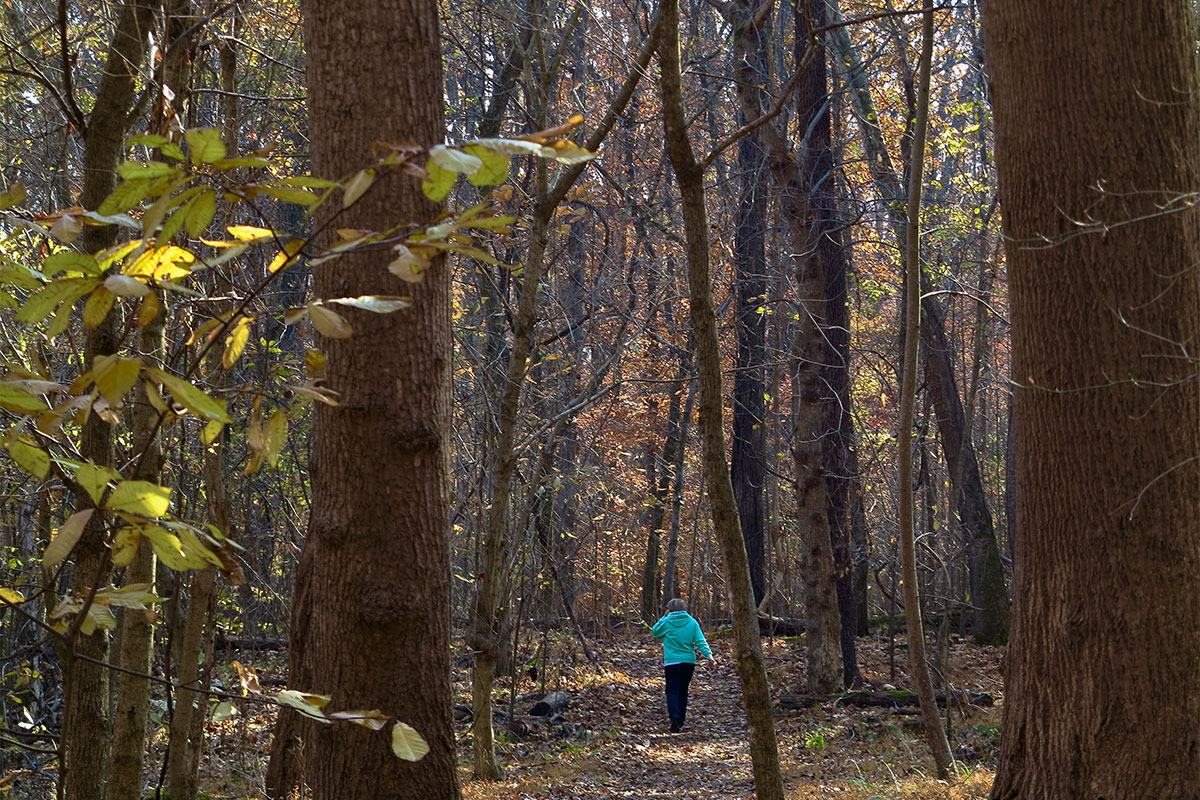woman in teal blue jacket walking through the woods and trees at great falls in virginia and maryland