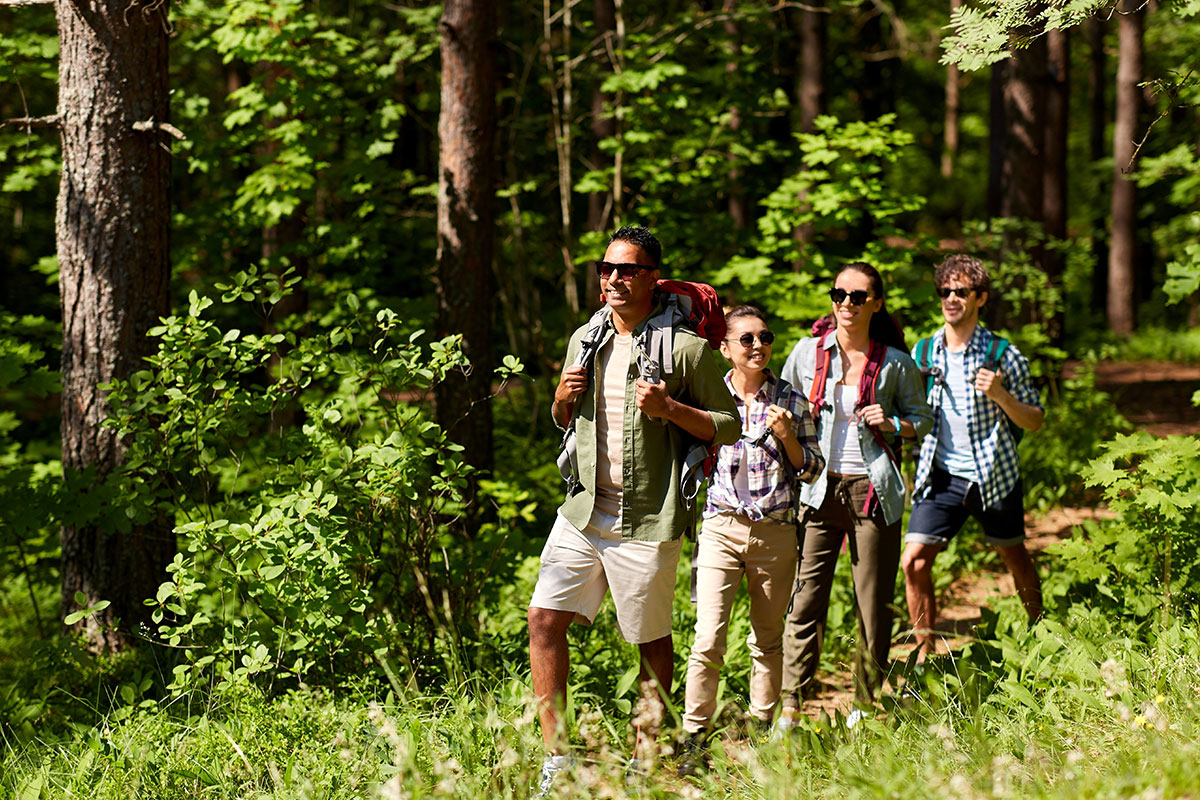 a group of hikers in a forest