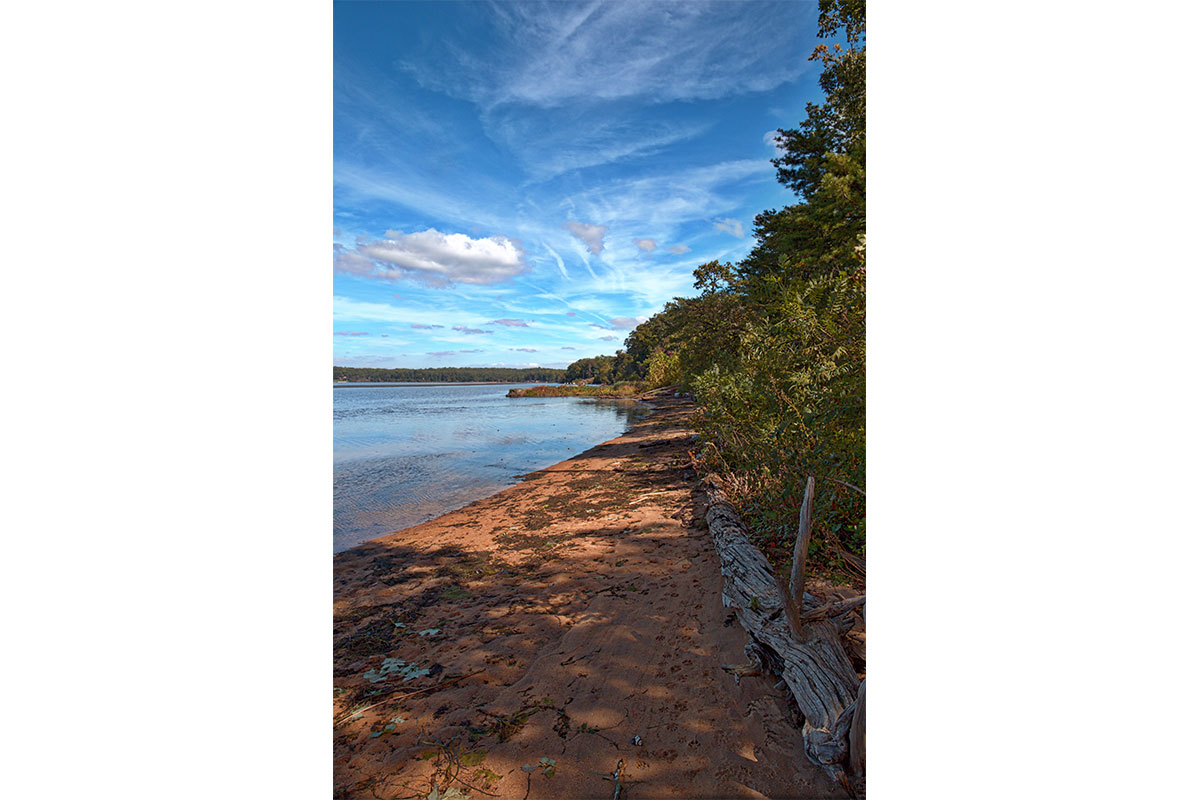 view from mason neck state park on the beach with water and trees and blue sky