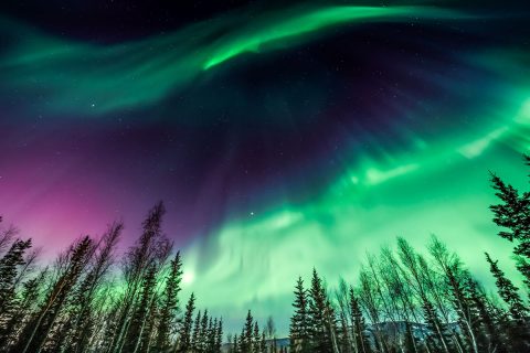 purple and green northern lights