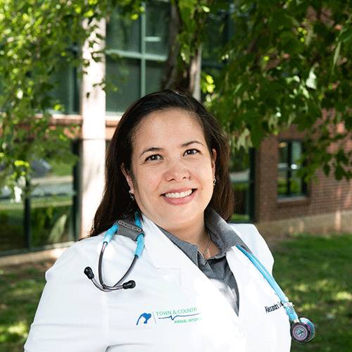 Alexandra Stocks Best Veterinarians