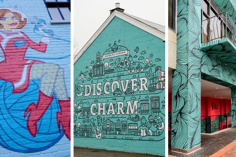 northern virginia painted murals