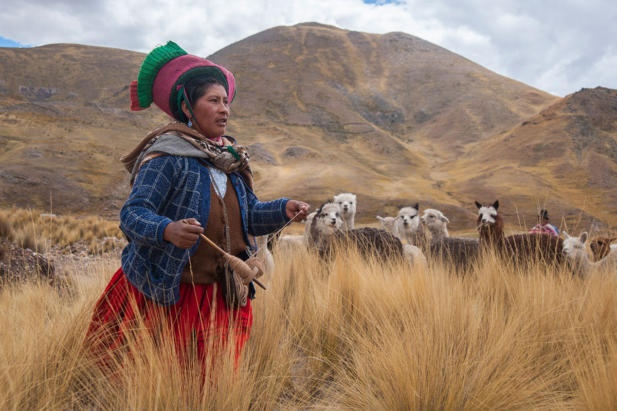 woman on a farm in peru with llamas