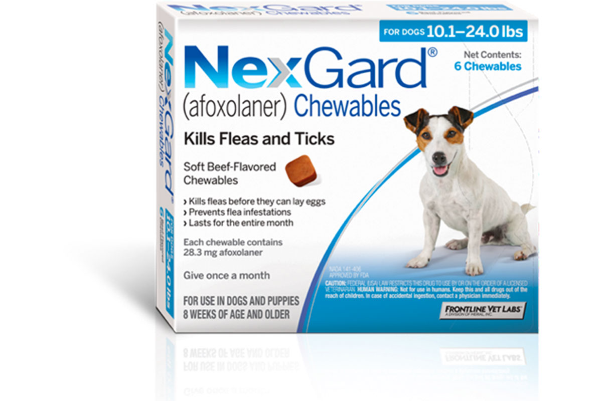 nexgard chew with dog on box
