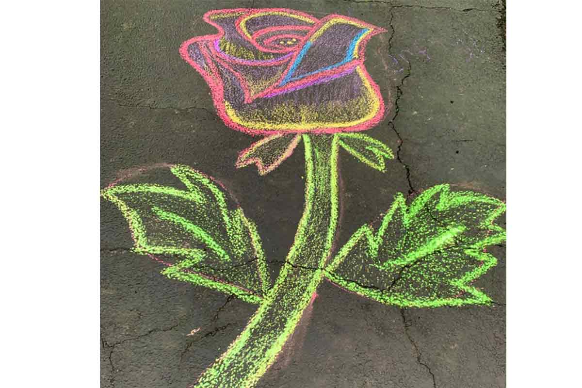 Rose Chalk Drawing
